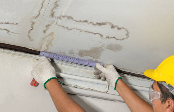 Reliable Mold Remediation contractor in Weston, MA by Local Water Damage Repair